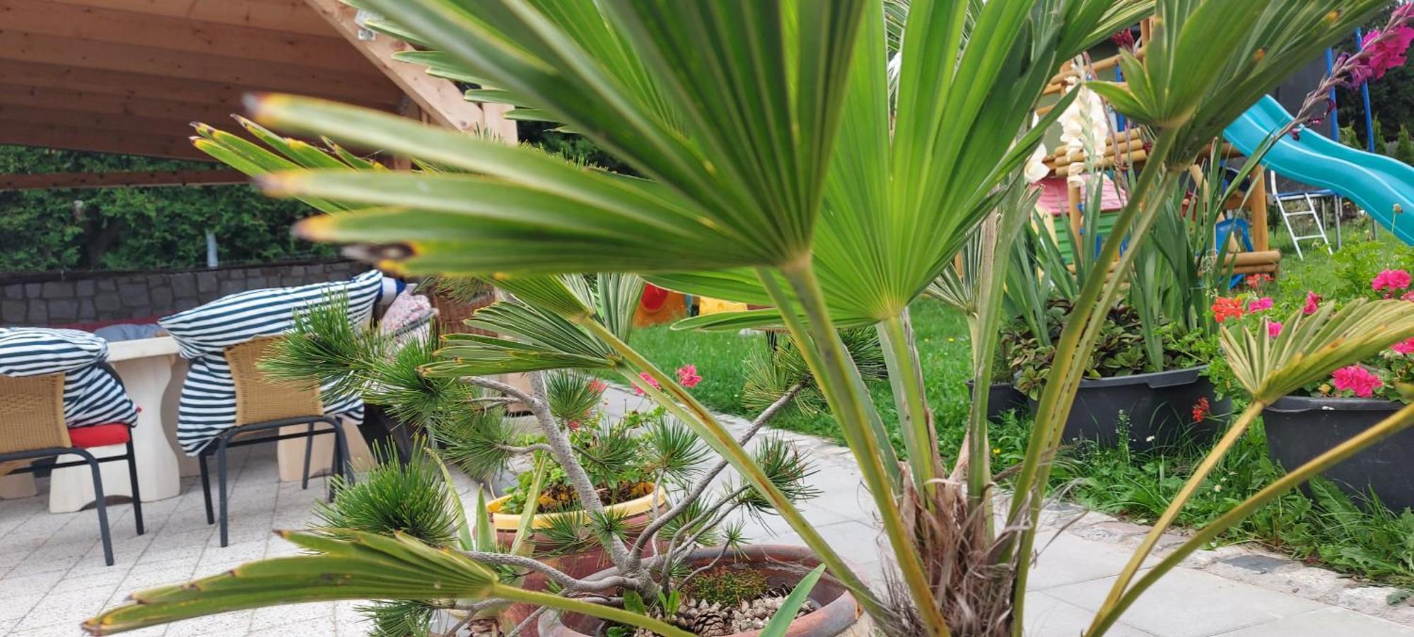 Pokoje Goscinne Jutrzenka Swarzewo Exteriör bild